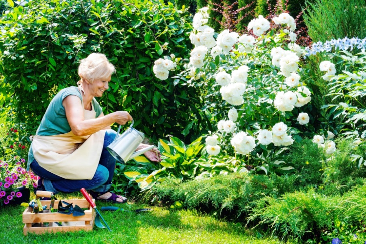 A woman tending to a garden.