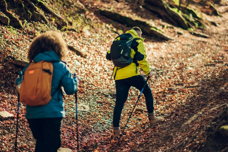 A couple hiking through a forest in autumn.