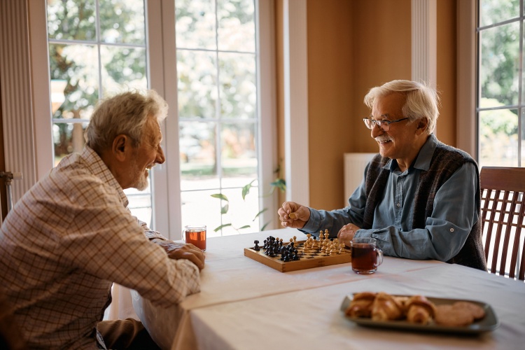 Two men playing chess at home