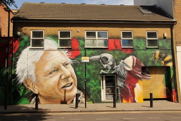 A mural of David Attenborough.
