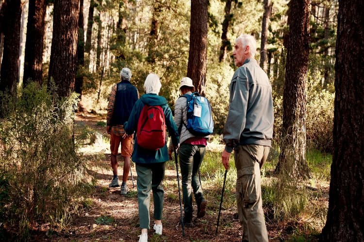 Group of older adults hiking in the forest